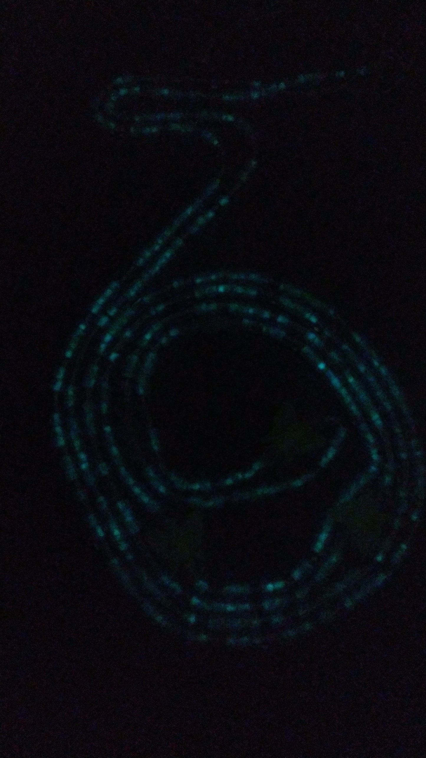 Nightlight Nectar